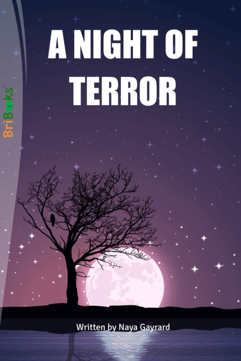 A NIGHT OF TERROR (Independently published)
A NIGHT OF TERROR (Independently published)