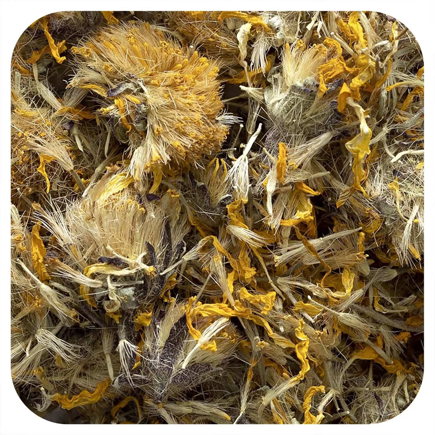 Цветы арники Frontier Co-op
Цветы арники Frontier Co-op