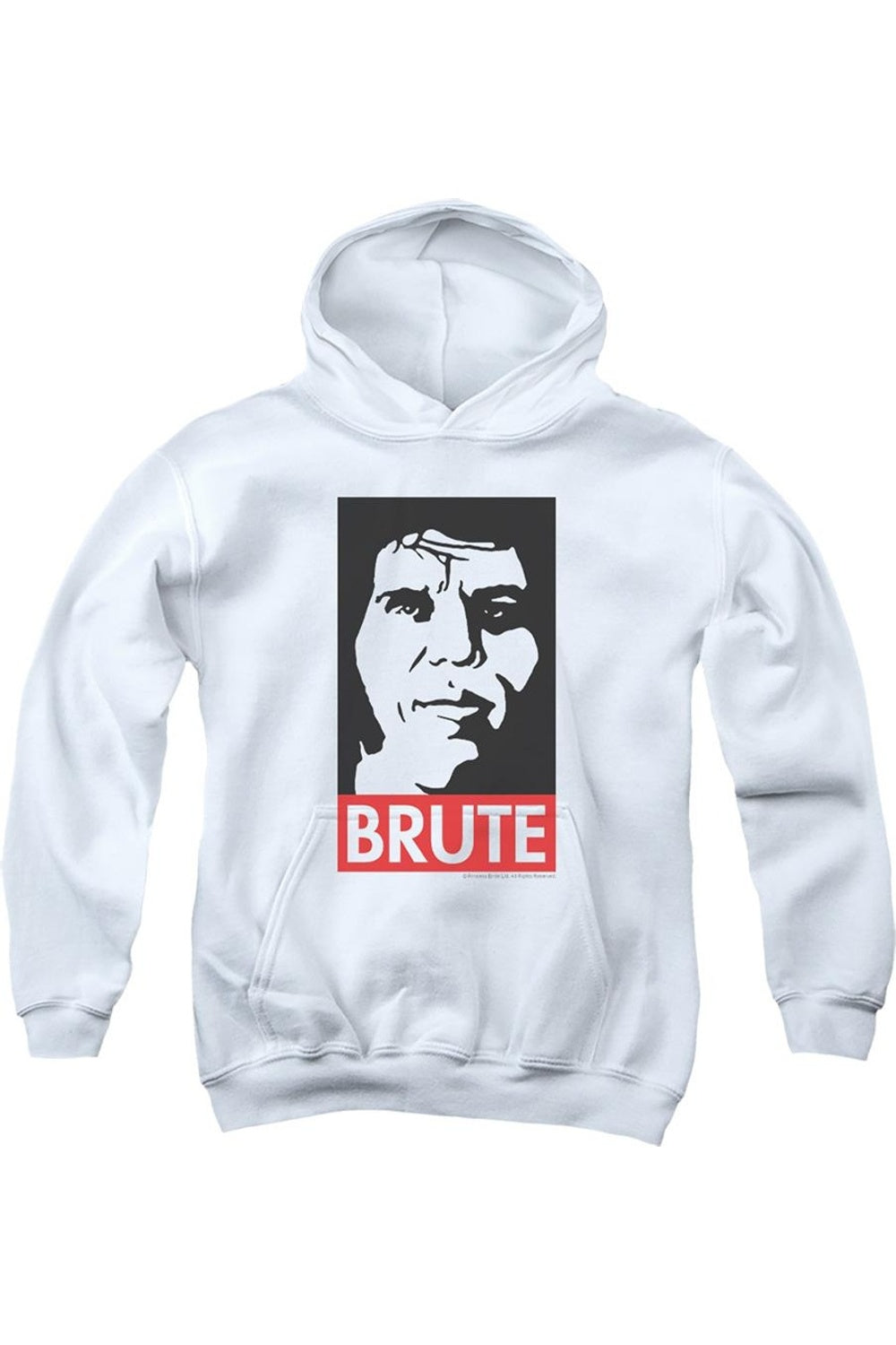 Толстовка с капюшоном Princess Bride Brute Youth Gildan, белый
Толстовка с капюшоном Princess Bride Brute Youth Gildan, белый