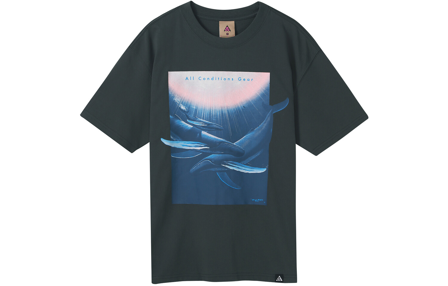 Мужская футболка Nike, цвет Black/Gray
Мужская футболка Nike, цвет Black/Gray