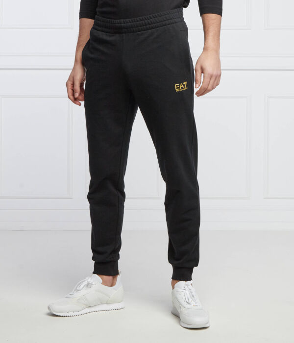Спортивные штаны мужские Ea7 зауженные, черный
Спортивные штаны мужские Ea7 зауженные, черный