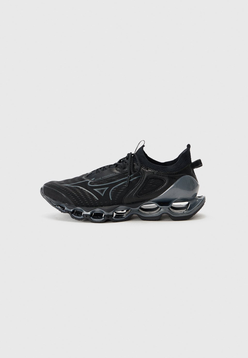 Кроссовки для бега WAVE PROPHECY 14 UNISEX Mizuno, черный
Кроссовки для бега WAVE PROPHECY 14 UNISEX Mizuno, черный