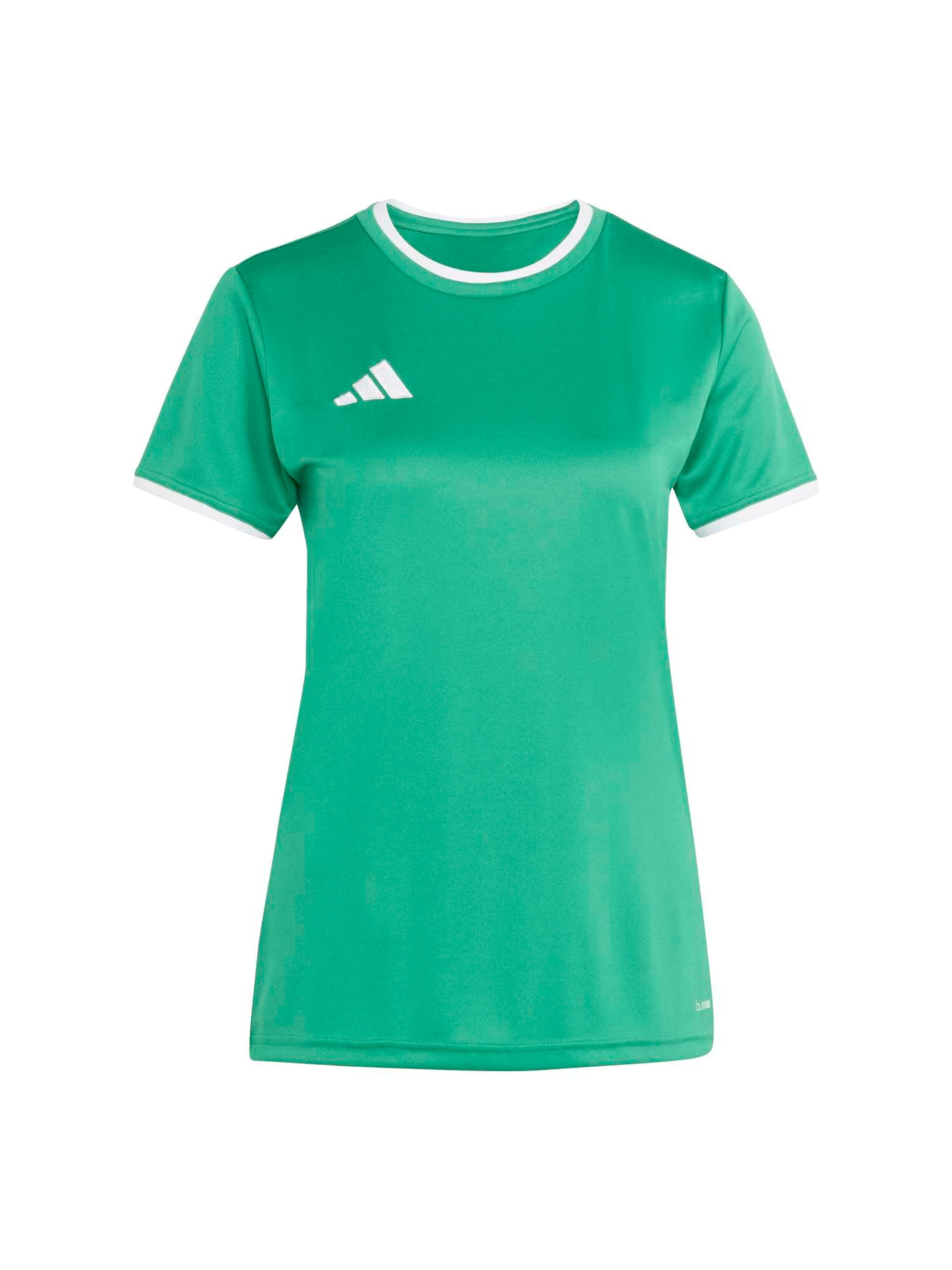 Adidas Performance Футболка для спорта 'ENT26' в зеленом цвете
Adidas Performance Футболка для спорта 'ENT26' в зеленом цвете