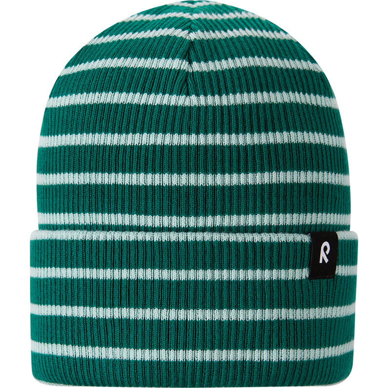 Детская шапка Reissuun reima, зеленый
Детская шапка Reissuun reima, зеленый