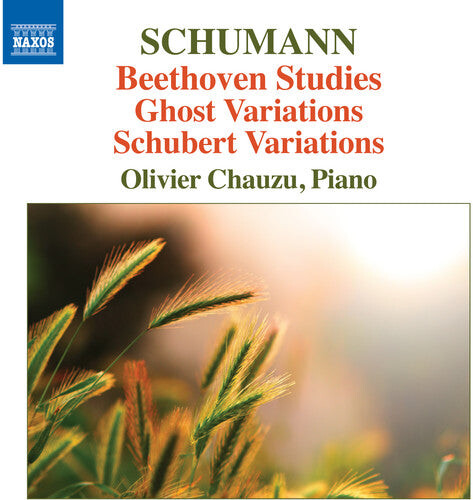 CD диск Schumann, Robert / Chauzu, Olivier: Beethoven Studies Ghost Variations & Schubert Variations
CD диск Schumann, Robert / Chauzu, Olivier: Beethoven Studies Ghost Variations & Schubert Variations