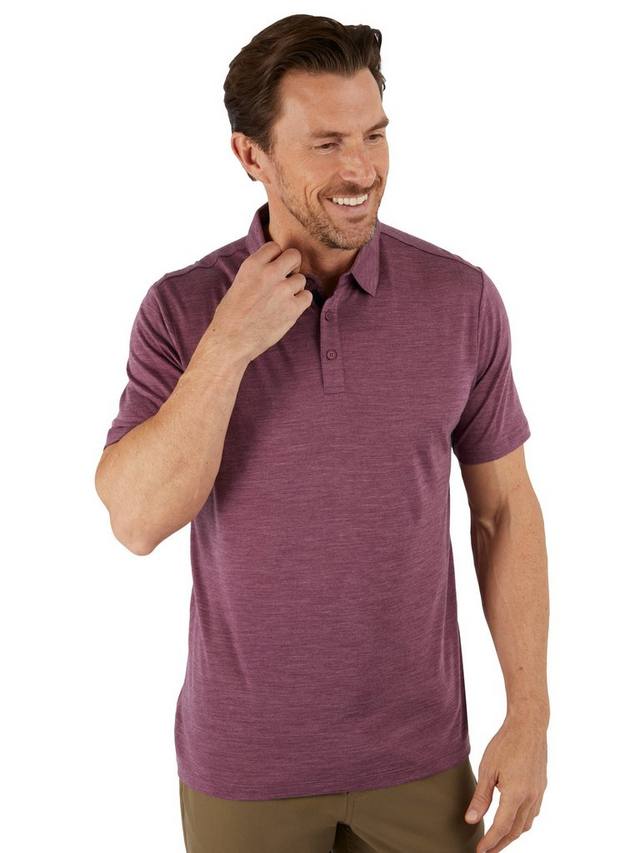 Футболка-поло из ткани Merino Cool Rohan, Grape Purple Marl
Футболка-поло из ткани Merino Cool Rohan, Grape Purple Marl