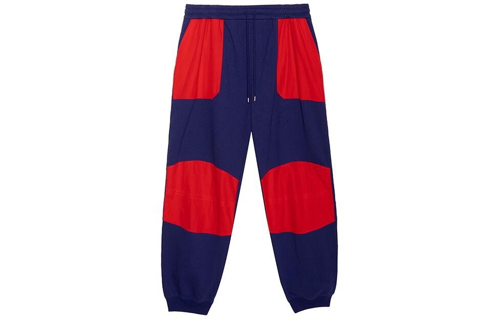 Мужские спортивные штаны Gucci X The North Face, синий/красный
Мужские спортивные штаны Gucci X The North Face, синий/красный