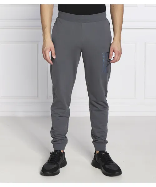 Спортивные штаны Regular fit Ea7, серый
Спортивные штаны Regular fit Ea7, серый