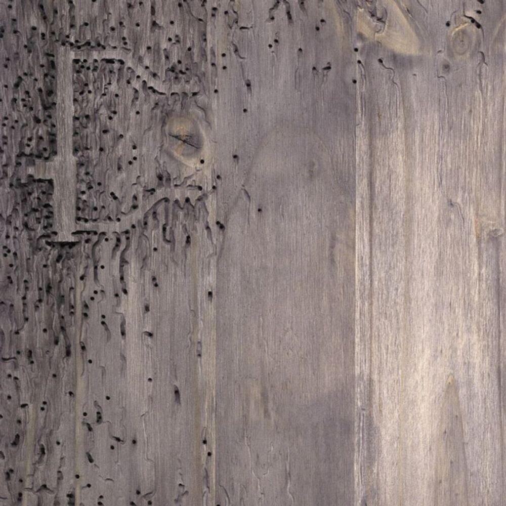 Диск CD Sleep No More - DJ Signify
Диск CD Sleep No More - DJ Signify