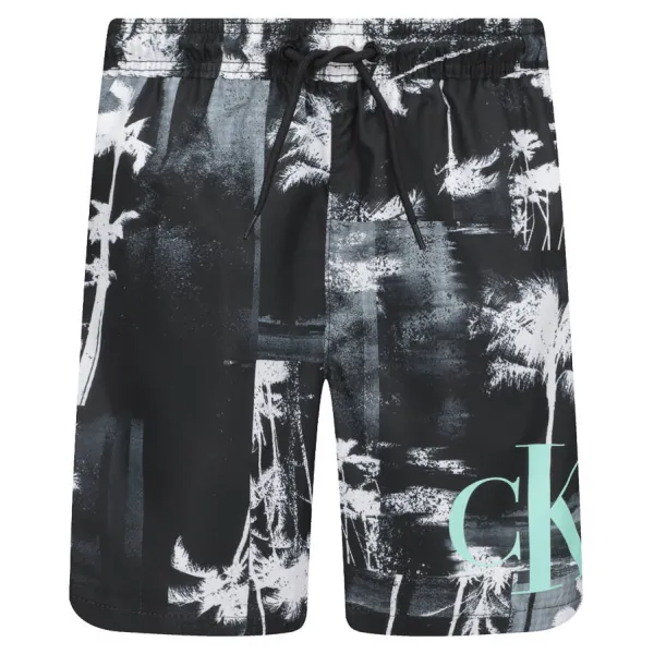 Купальные шорты стандартного кроя Calvin Klein, черный
Купальные шорты стандартного кроя Calvin Klein, черный