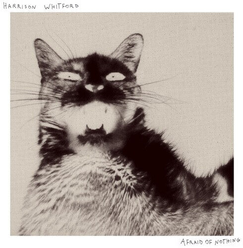 Виниловая пластинка Whitford, Harrison: Afraid Of Nothing
Виниловая пластинка Whitford, Harrison: Afraid Of Nothing