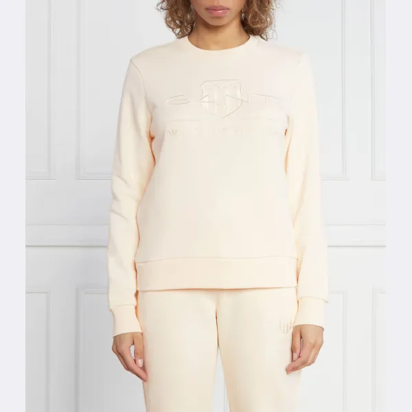 Толстовка Reg в тон щитка стандартного кроя Gant, бежевый
Толстовка Reg в тон щитка стандартного кроя Gant, бежевый