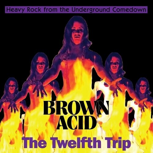 Виниловая пластинка Brown Acid - the Twelfth Trip / Various: Brown Acid - The Twelfth Trip (Various Artists)
Виниловая пластинка Brown Acid - the Twelfth Trip / Various: Brown Acid - The Twelfth Trip (Various Artists)