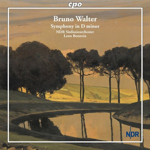 CD диск Walter / Ndr Sinfonieorchester / Botstein: Symphony in D minor
CD диск Walter / Ndr Sinfonieorchester / Botstein: Symphony in D minor