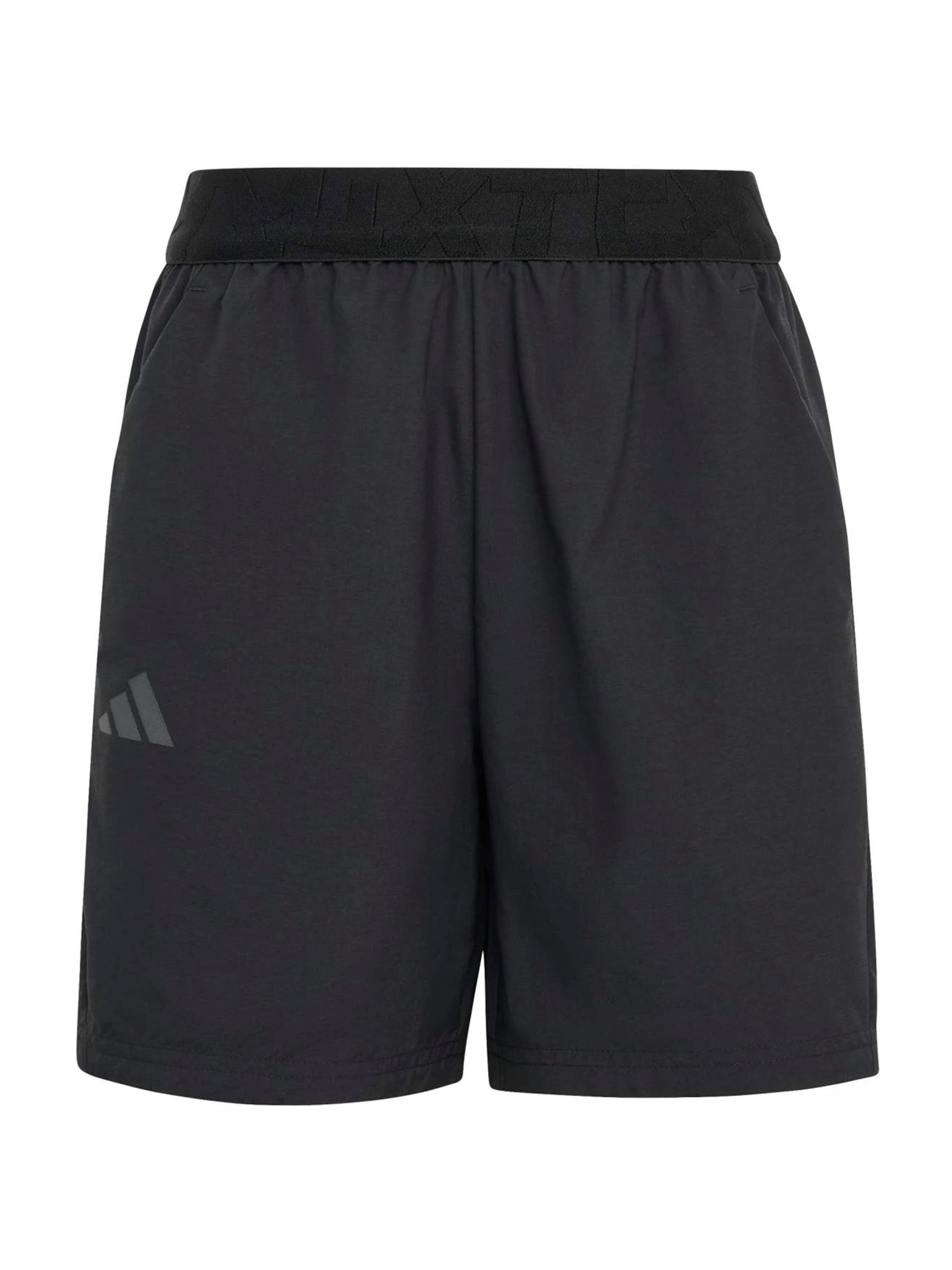 ADIDAS TERREX Спортивные шорты Regular в черном цвете
ADIDAS TERREX Спортивные шорты Regular в черном цвете