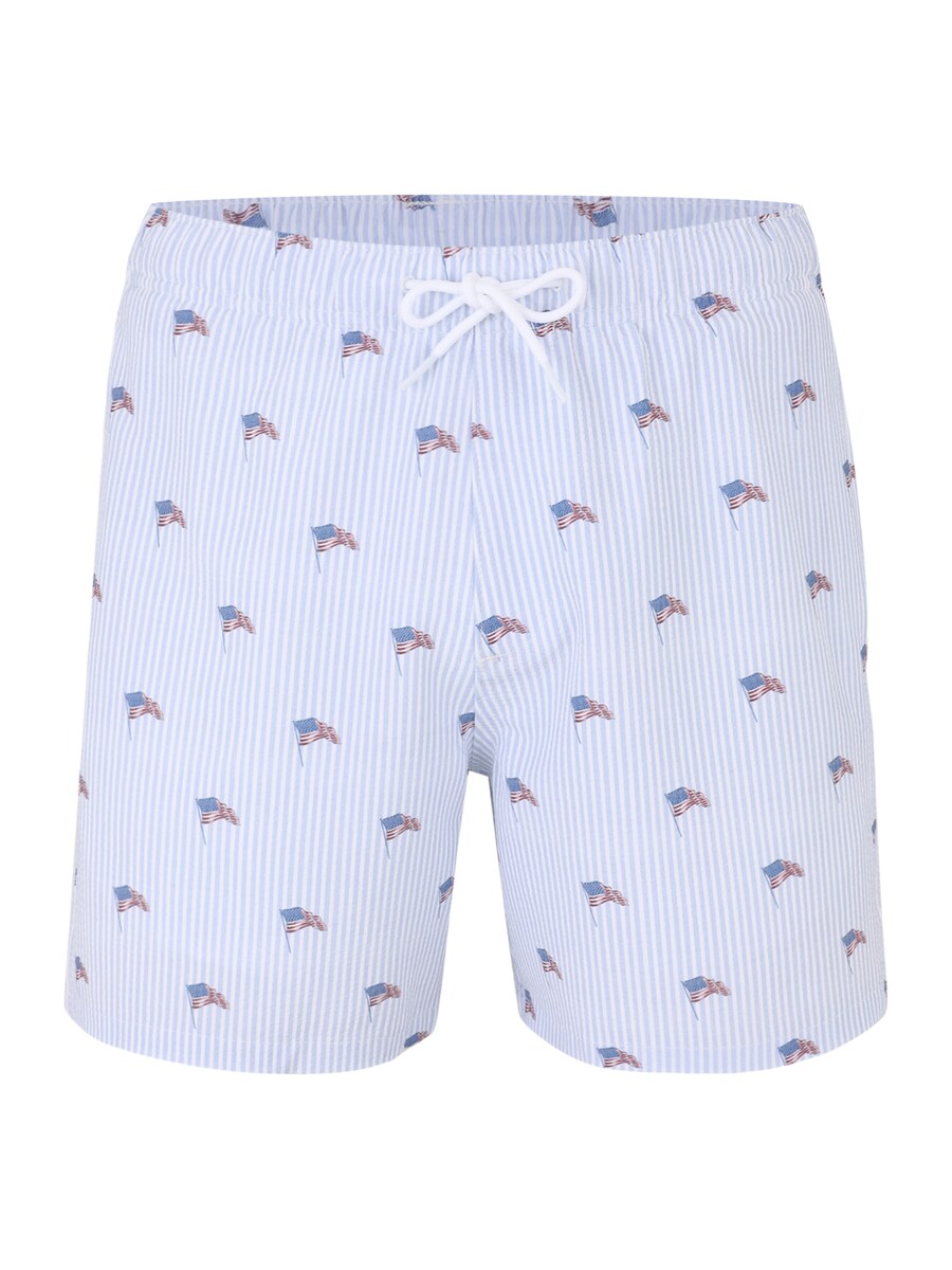 Боксеры HOLLISTER, Blue/Light blue
Боксеры HOLLISTER, Blue/Light blue