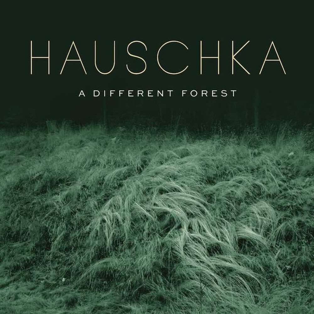 Диск CD A Different Forest - Hauschka
Диск CD A Different Forest - Hauschka