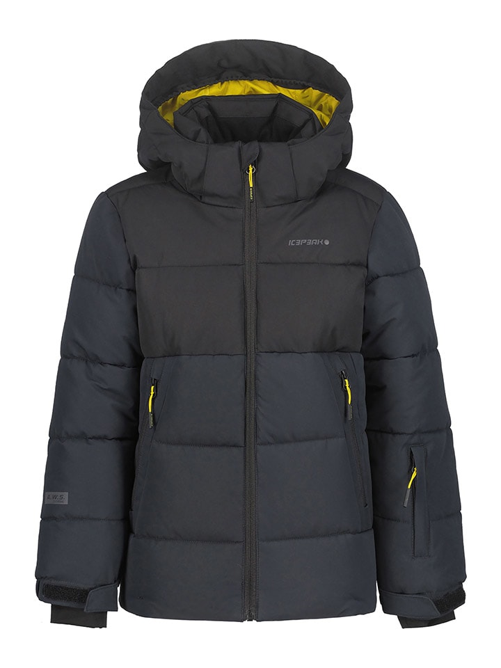 Icepeak Лыжная куртка/сноубордическая куртка Louin антрацитового цвета
Icepeak Лыжная куртка/сноубордическая куртка Louin антрацитового цвета