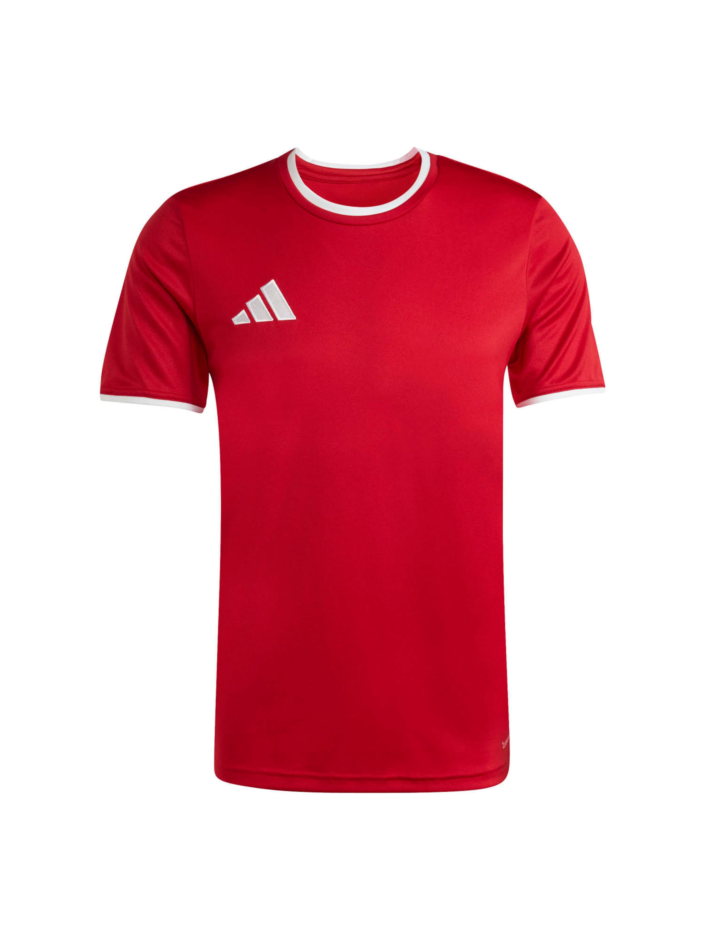 Adidas Performance Футболка Performance 'Ent26' в цвете Blood Red
Adidas Performance Футболка Performance 'Ent26' в цвете Blood Red