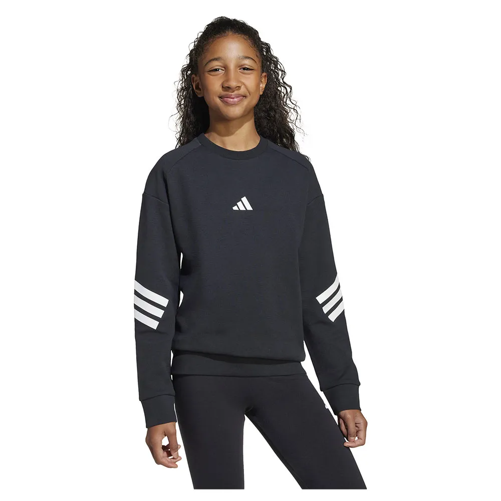 Толстовка adidas Future Icons 3 Stripes, черный
Толстовка adidas Future Icons 3 Stripes, черный