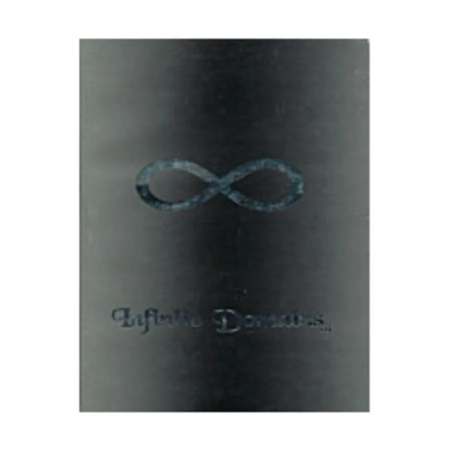 Infinite Domains, мягкая обложка
Infinite Domains, мягкая обложка