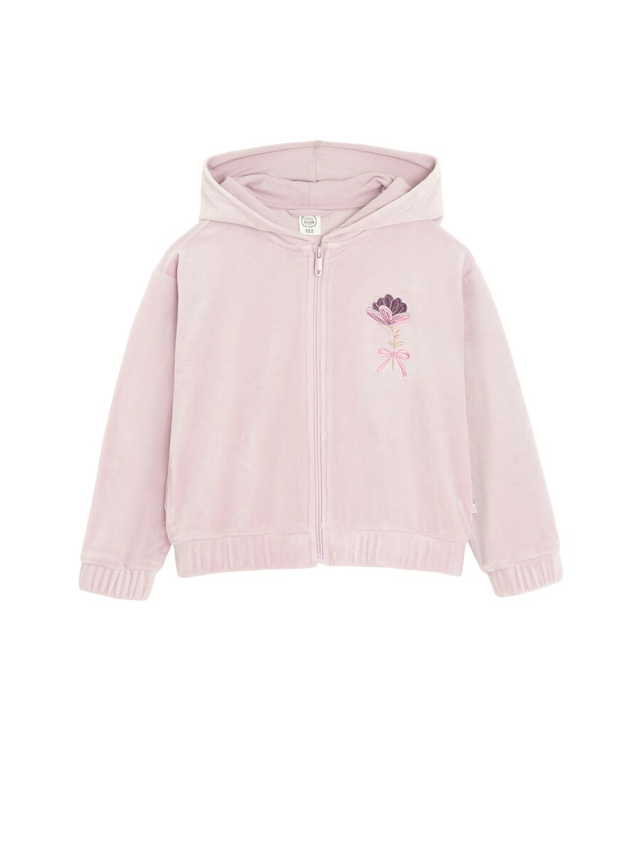 Толстовка с капюшоном на молнии Cool Club, розовый
Толстовка с капюшоном на молнии Cool Club, розовый