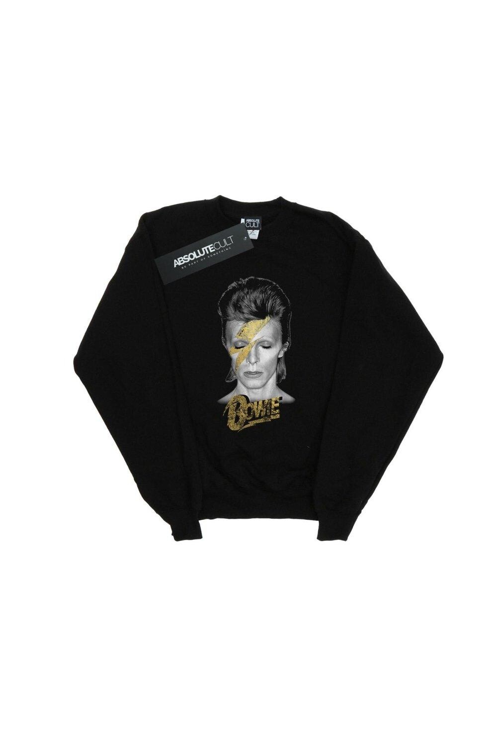 Толстовка Aladdin Sane Gold Bolt David Bowie, черный
Толстовка Aladdin Sane Gold Bolt David Bowie, черный