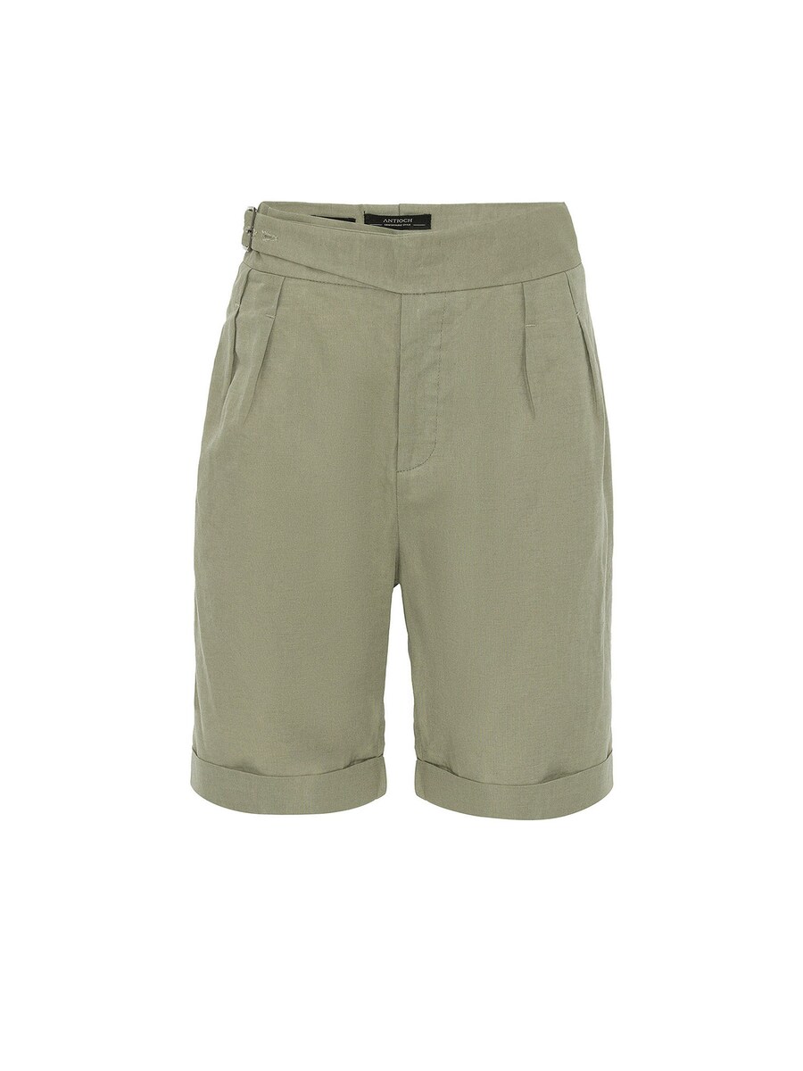 Обычные брюки со складками спереди Antioch, хаки
Обычные брюки со складками спереди Antioch, хаки