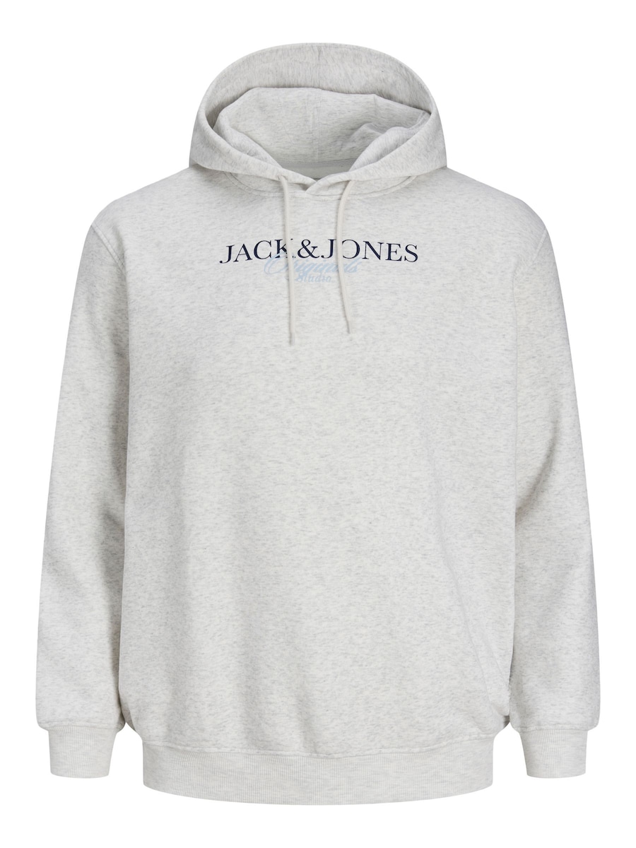 Толстовка Jack & Jones Plus JORBILLYBURG, белый
Толстовка Jack & Jones Plus JORBILLYBURG, белый