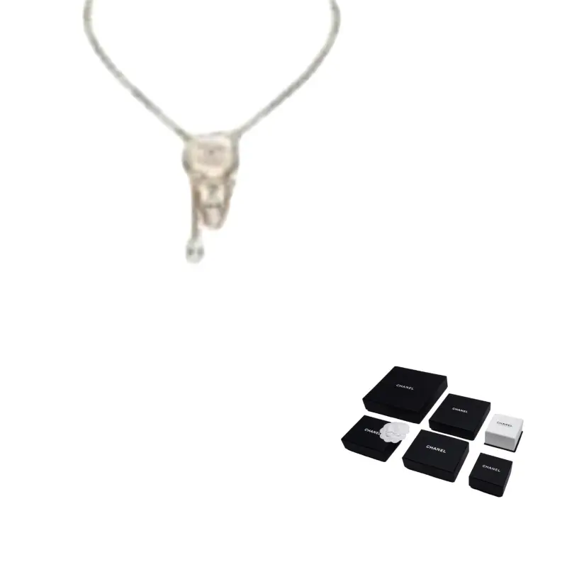 CHANEL Унисекс ожерелье мультиколор
CHANEL Унисекс ожерелье мультиколор