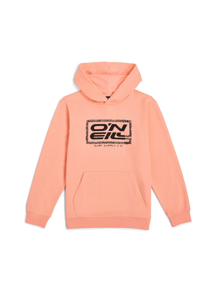 Толстовка O'NEILL, цвет Coral
Толстовка O'NEILL, цвет Coral