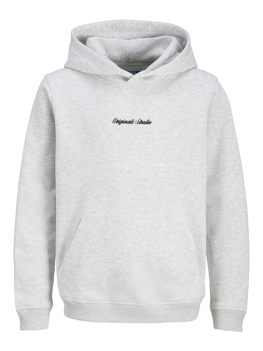 Толстовка Jack & Jones Junior Norrebro, Mottled White
Толстовка Jack & Jones Junior Norrebro, Mottled White
