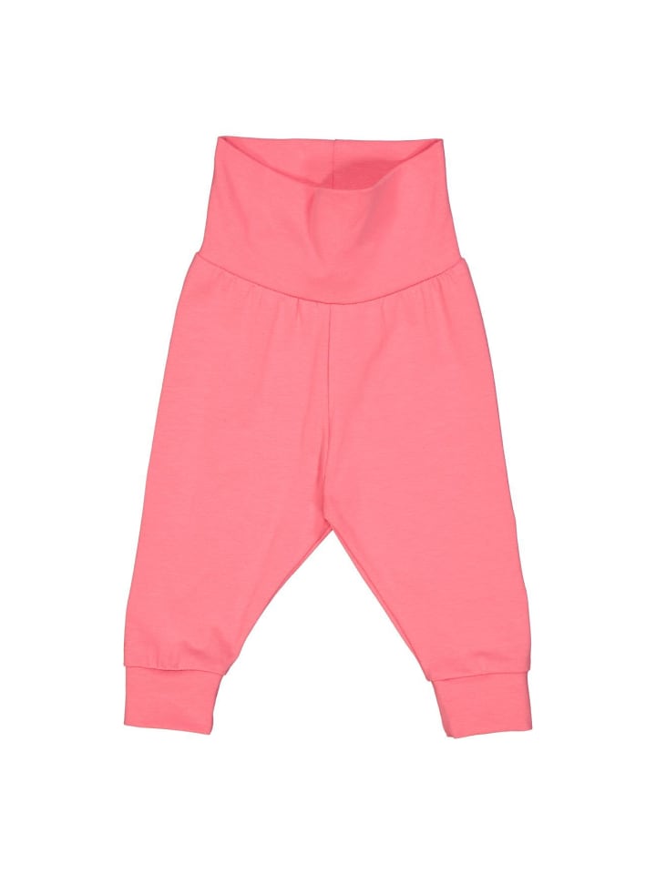 Спортивные брюки FredВґs World by GREEN COTTON, розовый
Спортивные брюки FredВґs World by GREEN COTTON, розовый