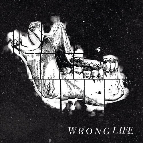 Виниловая пластинка Wrong Life: Wrong Life
Виниловая пластинка Wrong Life: Wrong Life