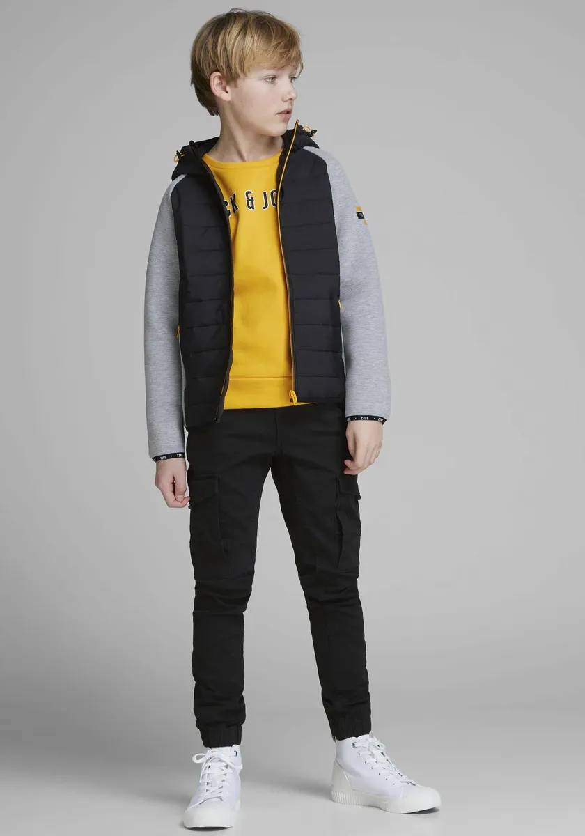 Брюки-карго Jack & Jones Junior "JPSTPAUL JJFLAKE AKM 542", черный
Брюки-карго Jack & Jones Junior "JPSTPAUL JJFLAKE AKM 542", черный