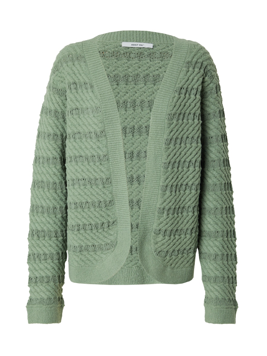 Вязаный кардиган ABOUT YOU Liv, светло-зеленый
Вязаный кардиган ABOUT YOU Liv, светло-зеленый