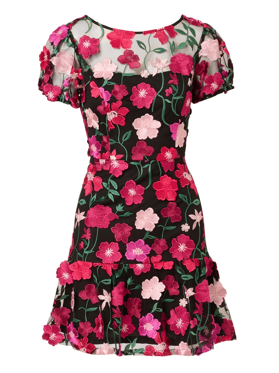 Коктейльное платье Adrianna Papell Embroidered Flounce, черный
Коктейльное платье Adrianna Papell Embroidered Flounce, черный