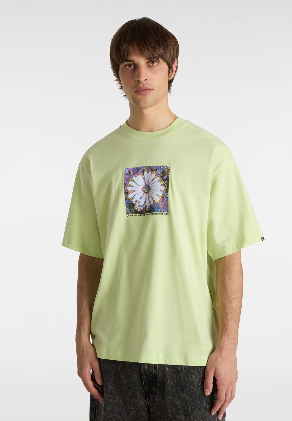 Футболка с принтом DIGITALS Vans, зеленый
Футболка с принтом DIGITALS Vans, зеленый