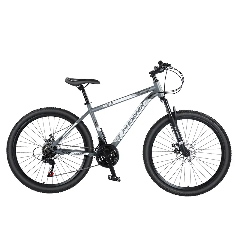 Горный велосипед Phoenix со стальной рамой 26 дюймов 27 скоростей, серый
Горный велосипед Phoenix со стальной рамой 26 дюймов 27 скоростей, серый