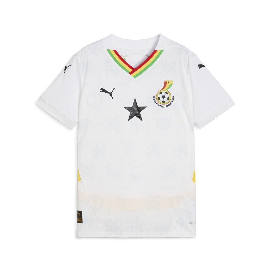 Спортивный топ PUMA Performance Shirt Ghana 2025, белый
Спортивный топ PUMA Performance Shirt Ghana 2025, белый
