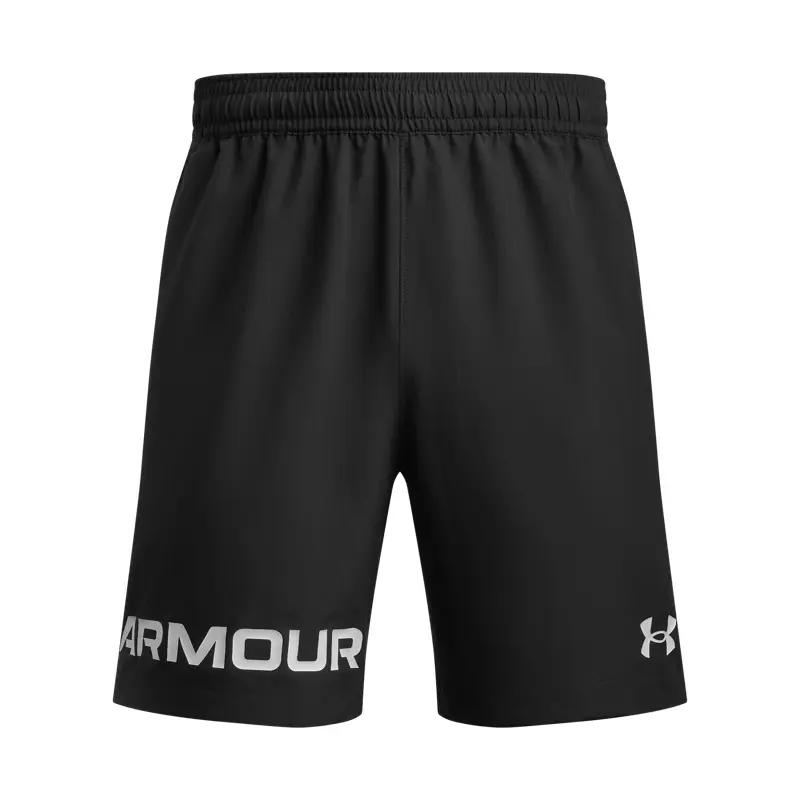Спортивные шорты мужские Under Armour, черный
Спортивные шорты мужские Under Armour, черный