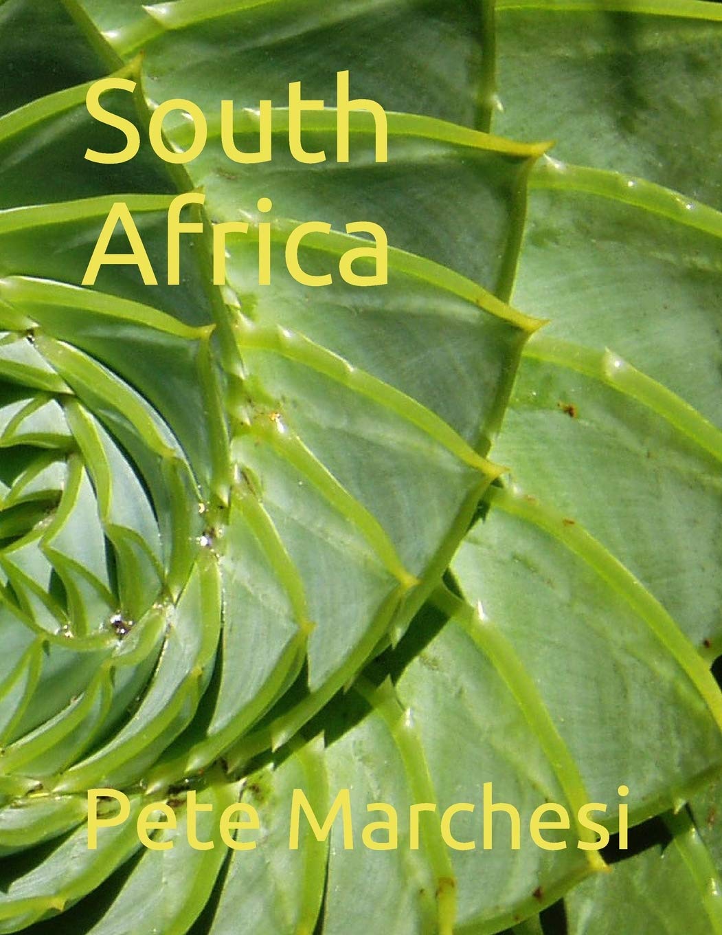 South Africa (Independently published)
South Africa (Independently published)