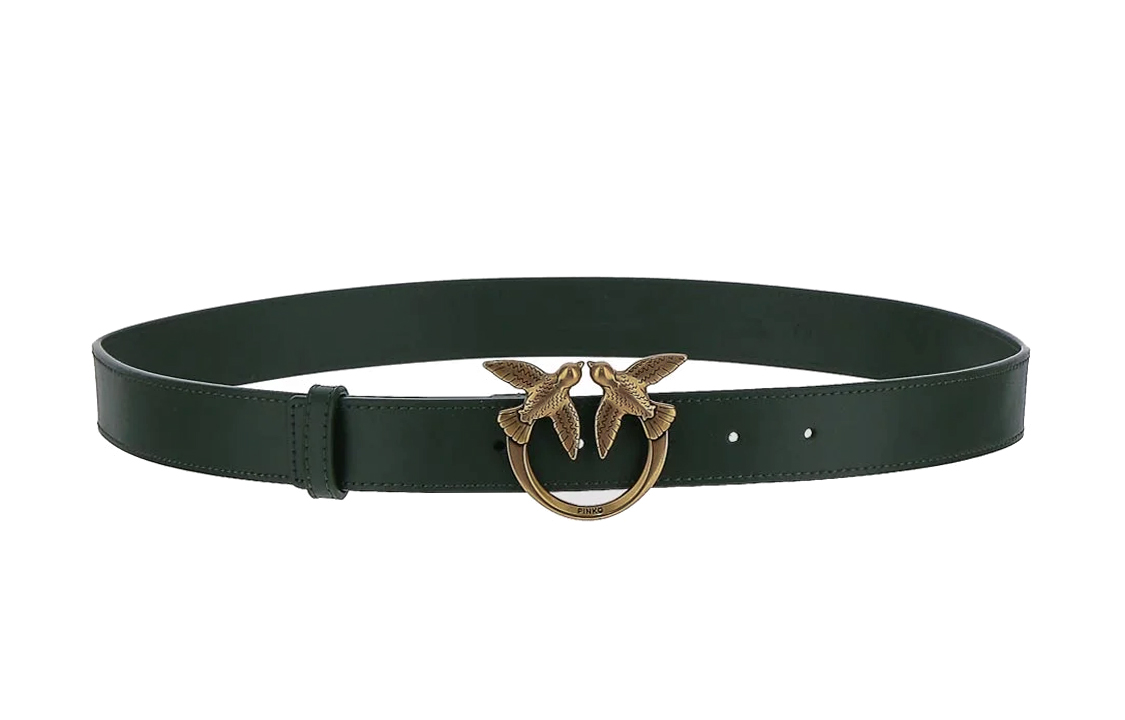 Ремень с пряжкой и бляшкой Love Birds Logo PINKO, зеленый
Ремень с пряжкой и бляшкой Love Birds Logo PINKO, зеленый