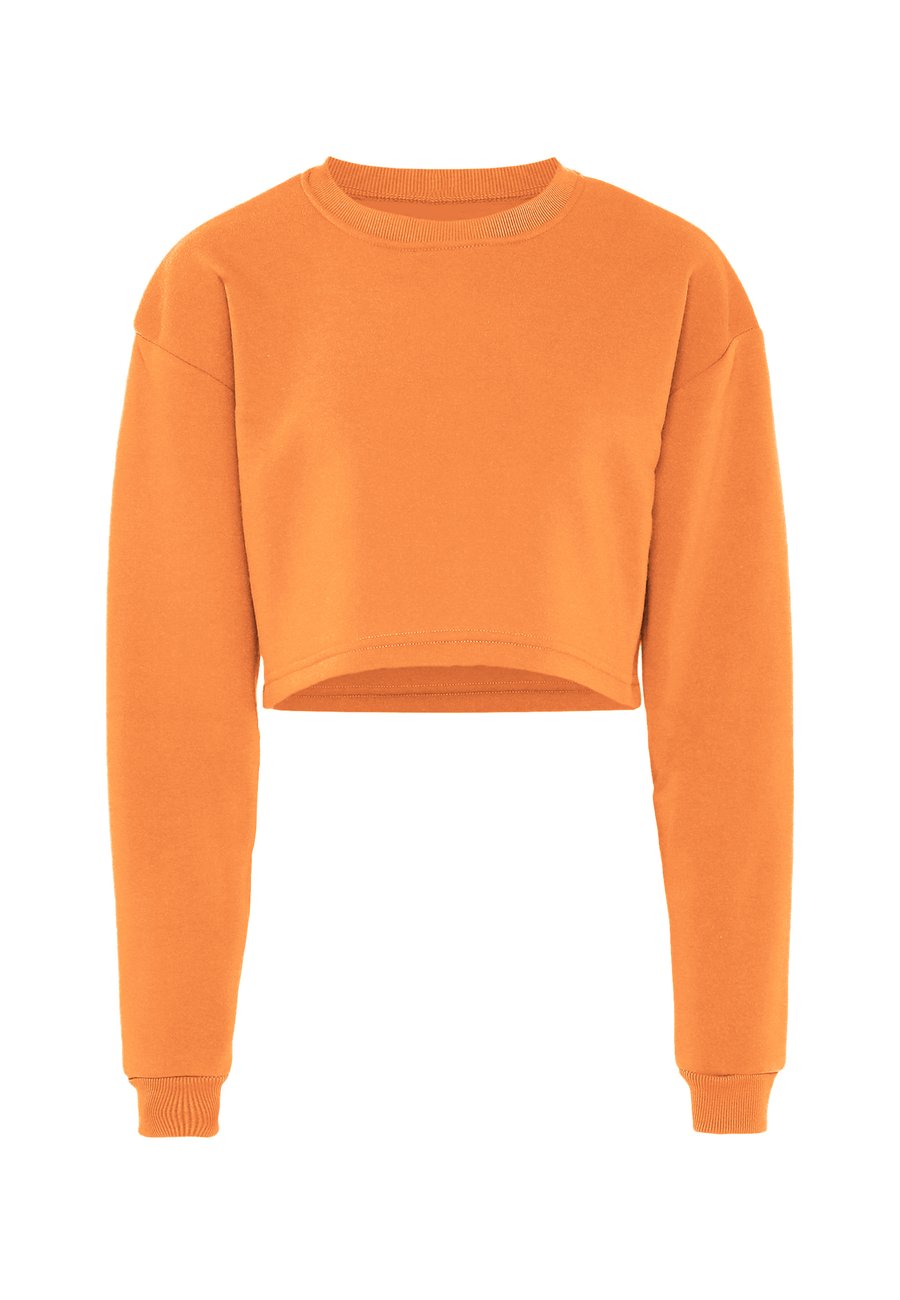 Толстовка myMo ATHLSR Sweatshirt, Aprikose/Apricot
Толстовка myMo ATHLSR Sweatshirt, Aprikose/Apricot
