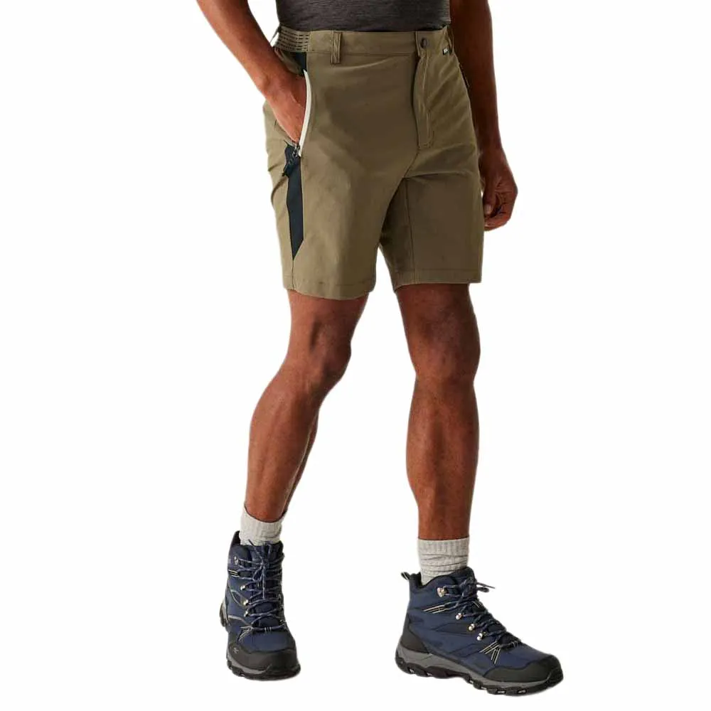 Шорты Regatta Mountain II, коричневый
Шорты Regatta Mountain II, коричневый