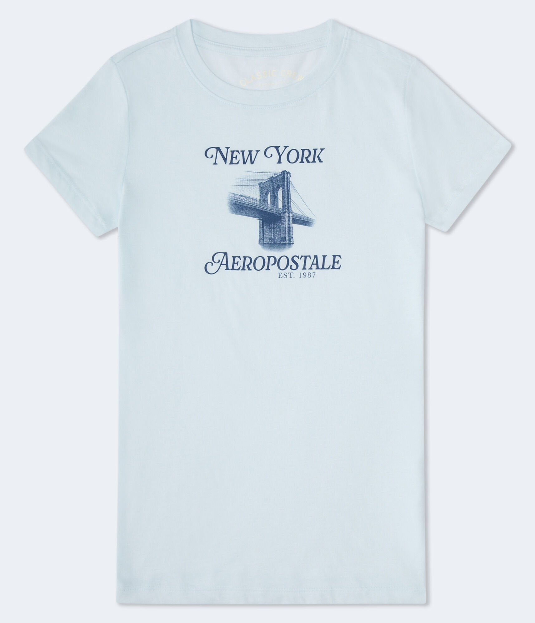 Футболка Aeropostale с рисунком Бруклинского моста, светло-голубой
Футболка Aeropostale с рисунком Бруклинского моста, светло-голубой