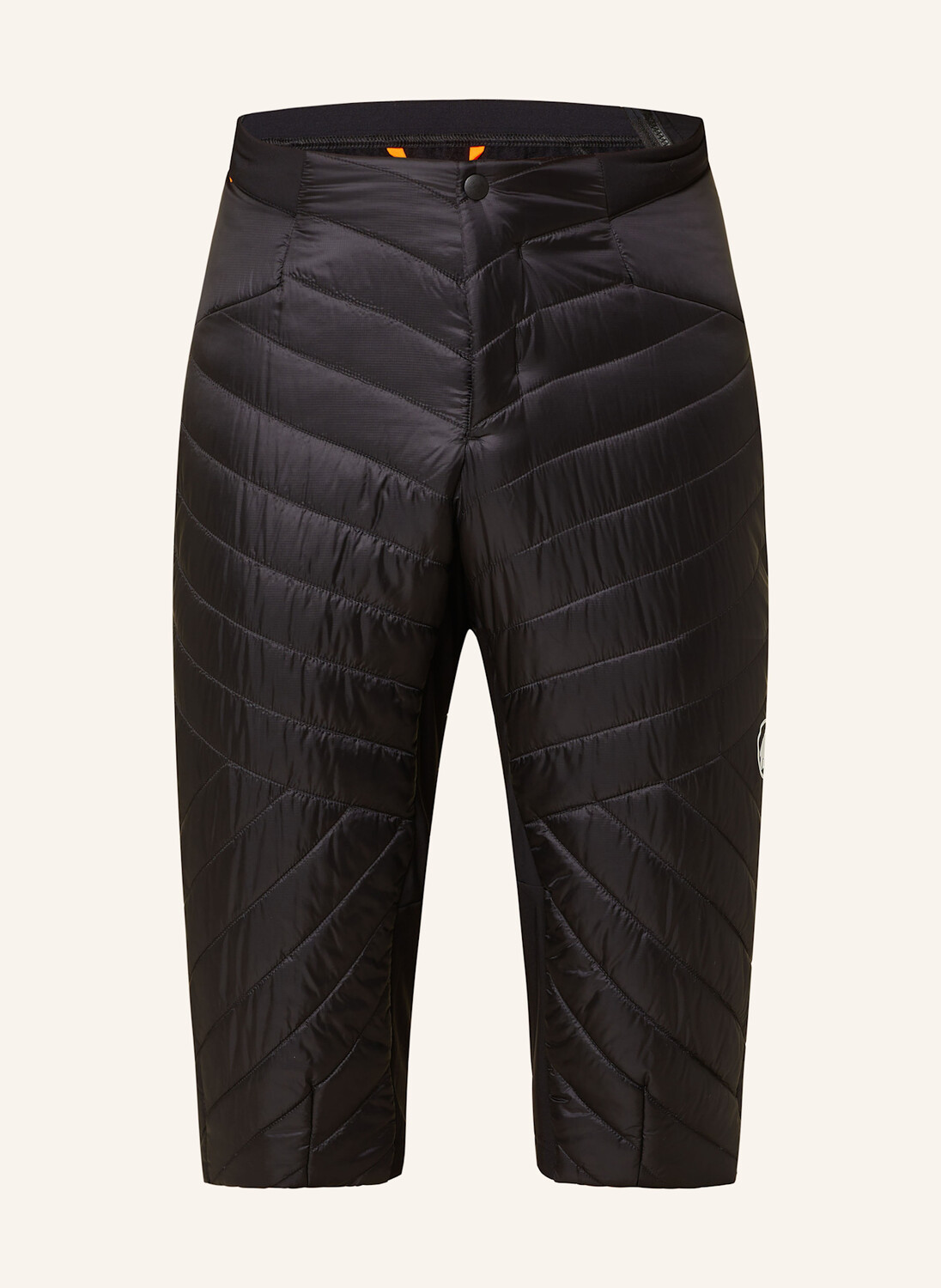 Шорты аэнергия MAMMUT, черный
Шорты аэнергия MAMMUT, черный