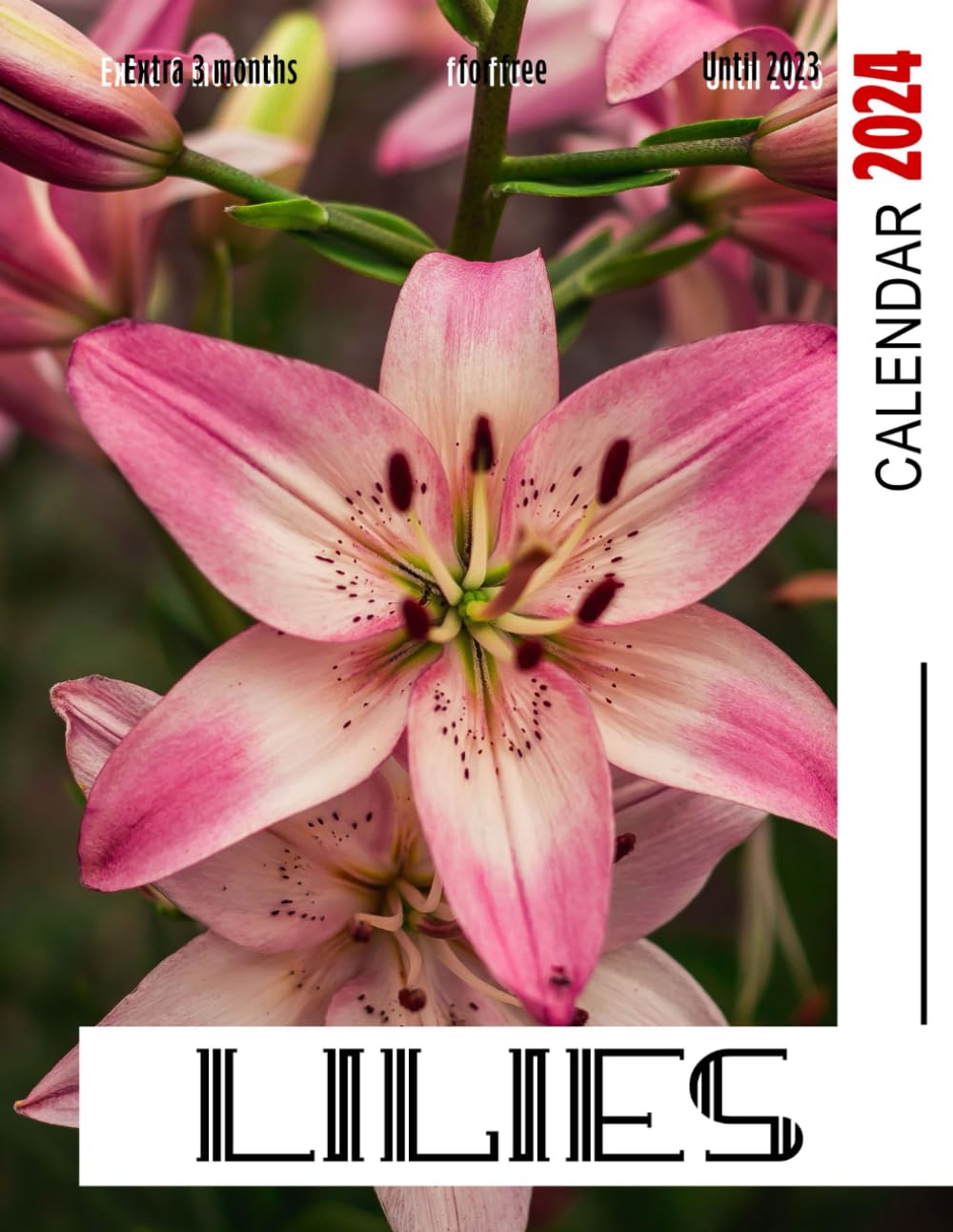 Calendar 2024: Great Gift For Beloved Fan and Collectors, Jan 2024 to Mar 2025, Eco Friendly, Major US Holidays (Independently published)
Calendar 2024: Great Gift For Beloved Fan and Collectors, Jan 2024 to Mar 2025, Eco Friendly, Major US Holidays (Independently published)