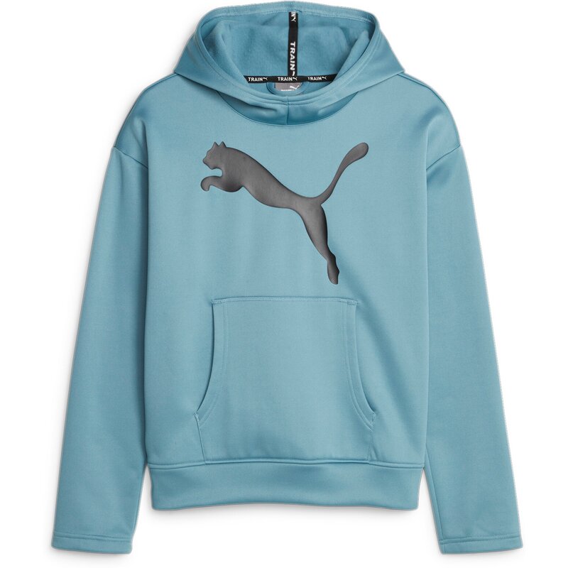 Толстовка с капюшоном Train Favorite Pwr Fleece Puma, синий
Толстовка с капюшоном Train Favorite Pwr Fleece Puma, синий