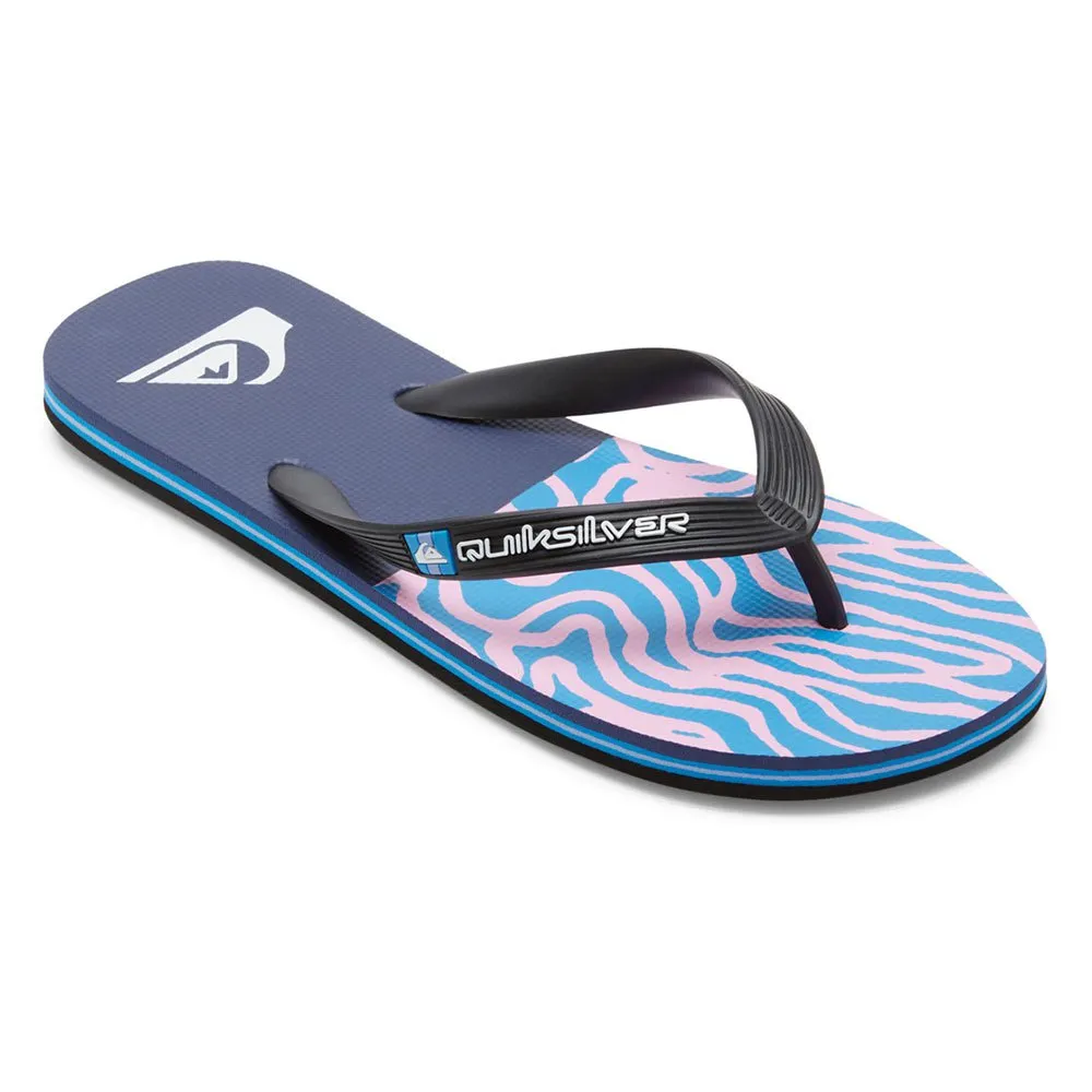 Шлепанцы Quiksilver Molokai Art II, синий
Шлепанцы Quiksilver Molokai Art II, синий